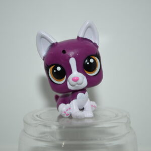 Littlest Pet Shop #13 Boston Terrier Blind Bags